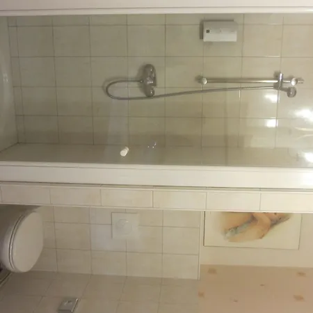 Restaurant La Creche Et Sa Piscine Interieure - Logis 酒店 拉尚内特